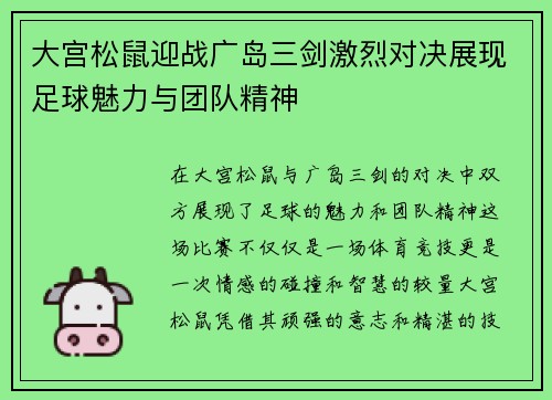 大宫松鼠迎战广岛三剑激烈对决展现足球魅力与团队精神